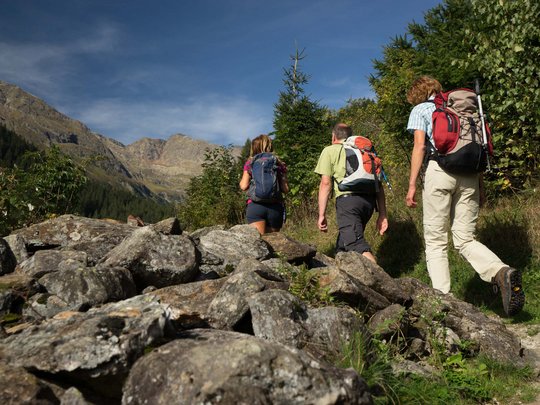 Aktivhotel Panorama: Wandern Drei Wanderer mit Rucksäcken auf Bergweg im Sonnenschein