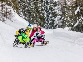 Skifahren in Ladurns Familie fährt Schlitten auf schneebedeckter Winterstrecke mit Tannenbäumen