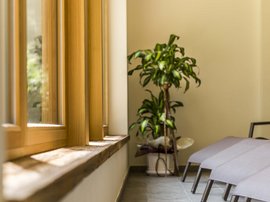 Wellness in der Unterkunft im Pflerschtal Helle Sitzecke mit Pflanzen neben großen Holzfenstern