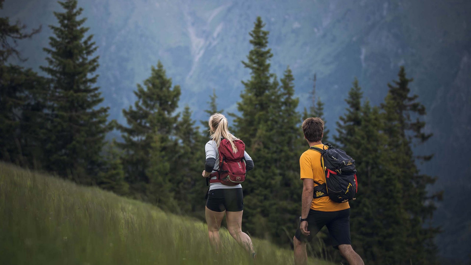Aktivhotel Panorama: Wandern Zwei Wanderer mit Rucksäcken gehen bergauf in bewaldeter Landschaft