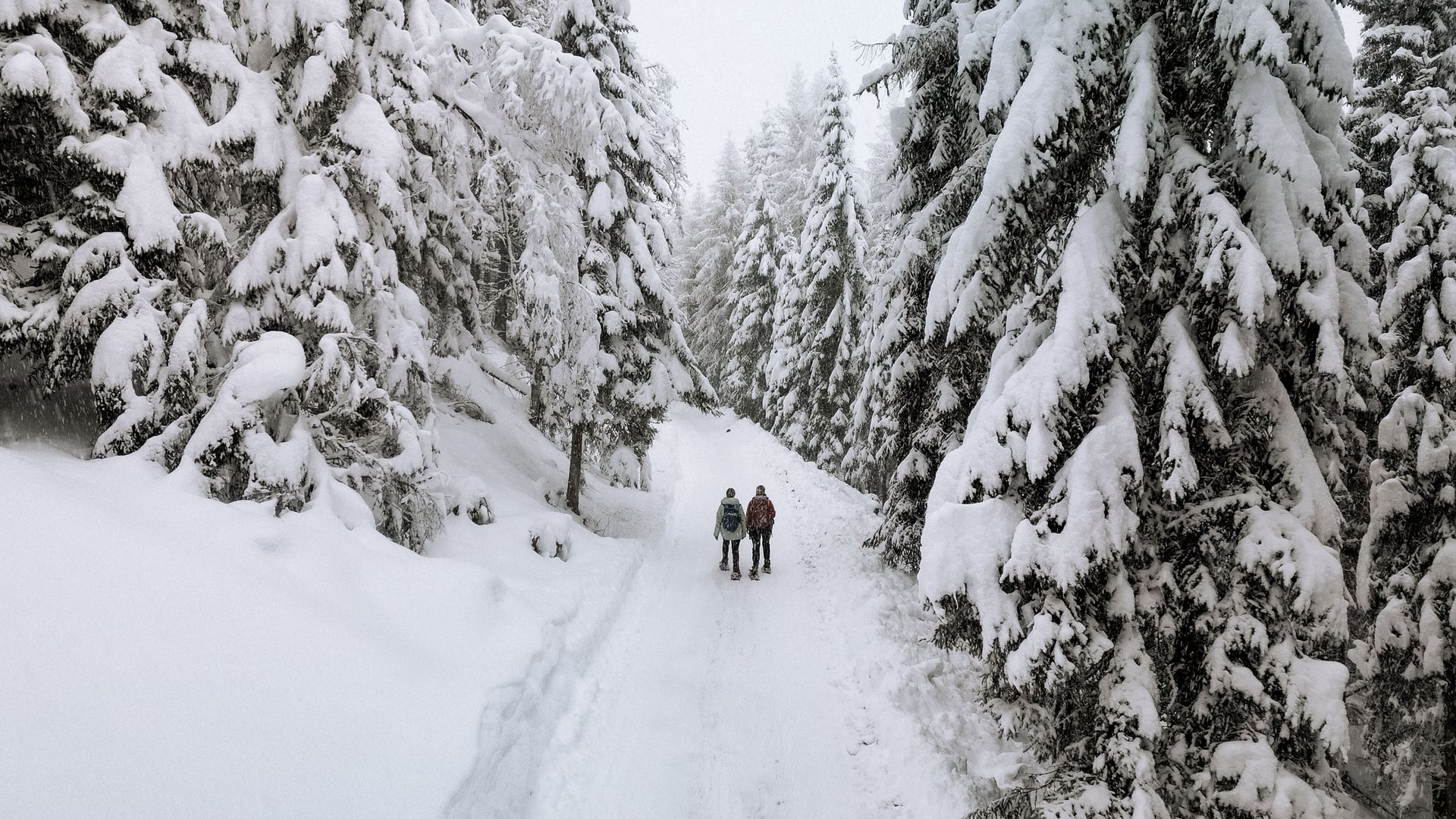 Family hotel vicino a Vipiteno: “hallo” e benvenuti! Due persone camminano su un sentiero innevato in una foresta invernale