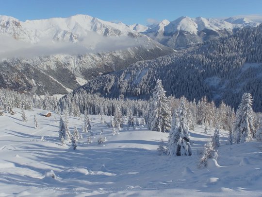 Ski touring in Pflerschtal Snow-covered fir trees and cabin with alpine mountain view under clear sky