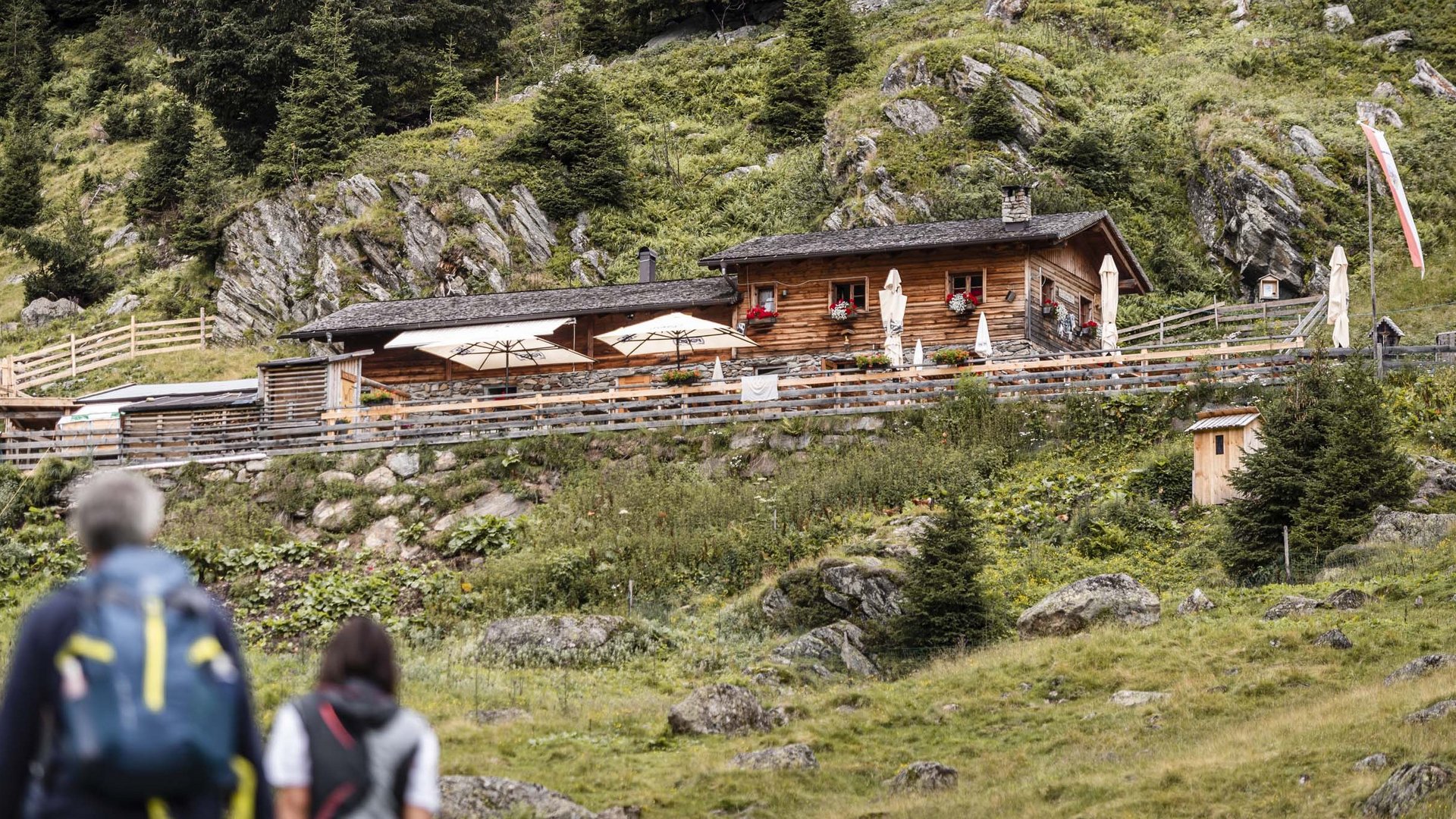 Aktivhotel Panorama: Wandern