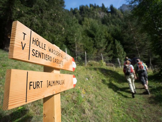 Aktivhotel Panorama: Wandern Holzwegweiser auf Wanderweg im Wald mit Wanderern im Hintergrund