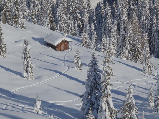 Ski touring in Pflerschtal Snow-covered cabin and trees in a quiet winter forest